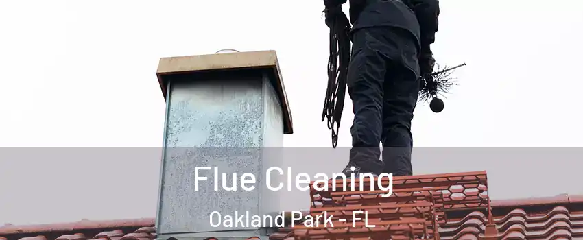  Flue Cleaning Oakland Park - FL